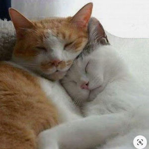 Meet your Posher, Charlize